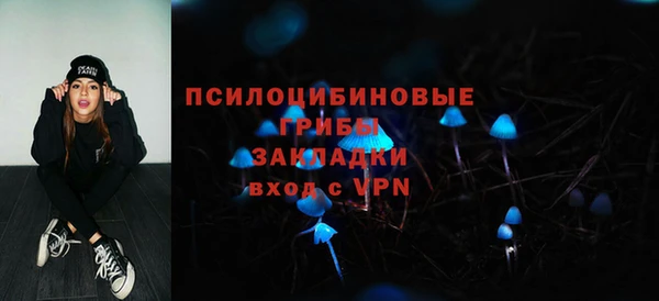 ALPHA-PVP Алексеевка