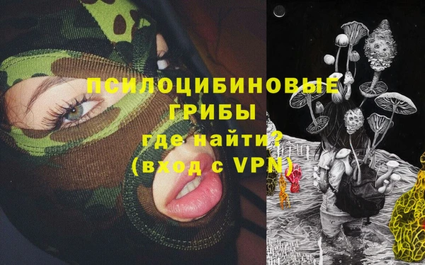 ALPHA-PVP Алексеевка