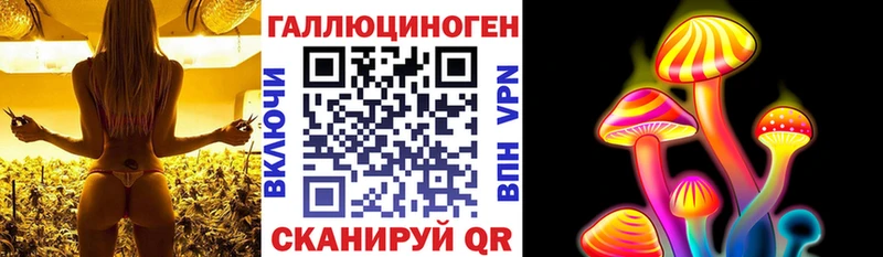 Псилоцибиновые грибы мицелий Муравленко