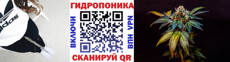 закладка  Муравленко  МАРИХУАНА сатива 